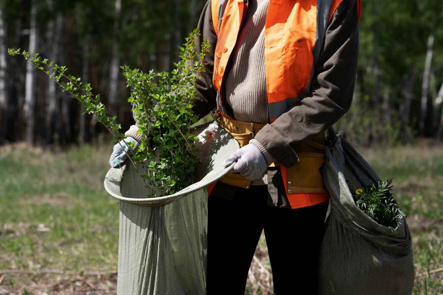 Best Affordable Tree Service  in South Daytona, FL